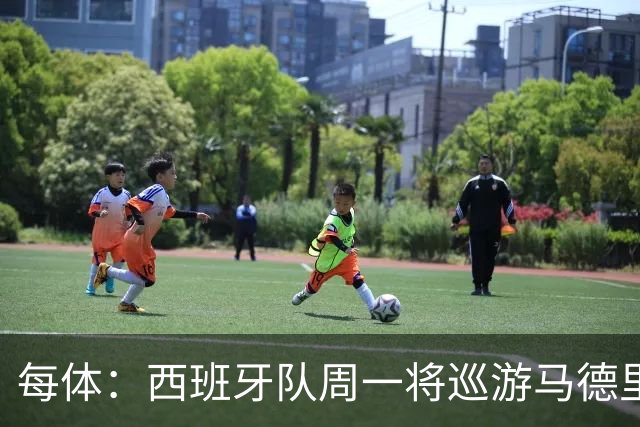每体：西班牙队周一将巡游马德里庆祝世界杯夺冠