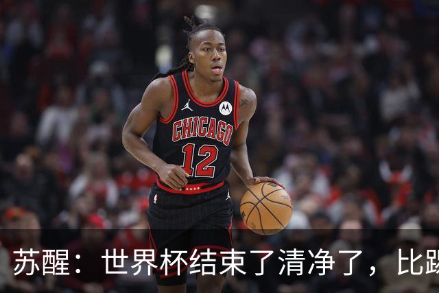 苏醒：世界杯结束了清净了，比踢到一半就淘汰的那种清净好